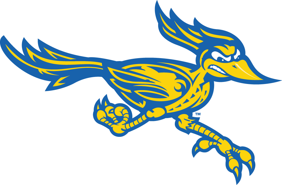 CSU Bakersfield Roadrunners 2006-Pres Alternate Logo v2 iron on transfers for T-shirts